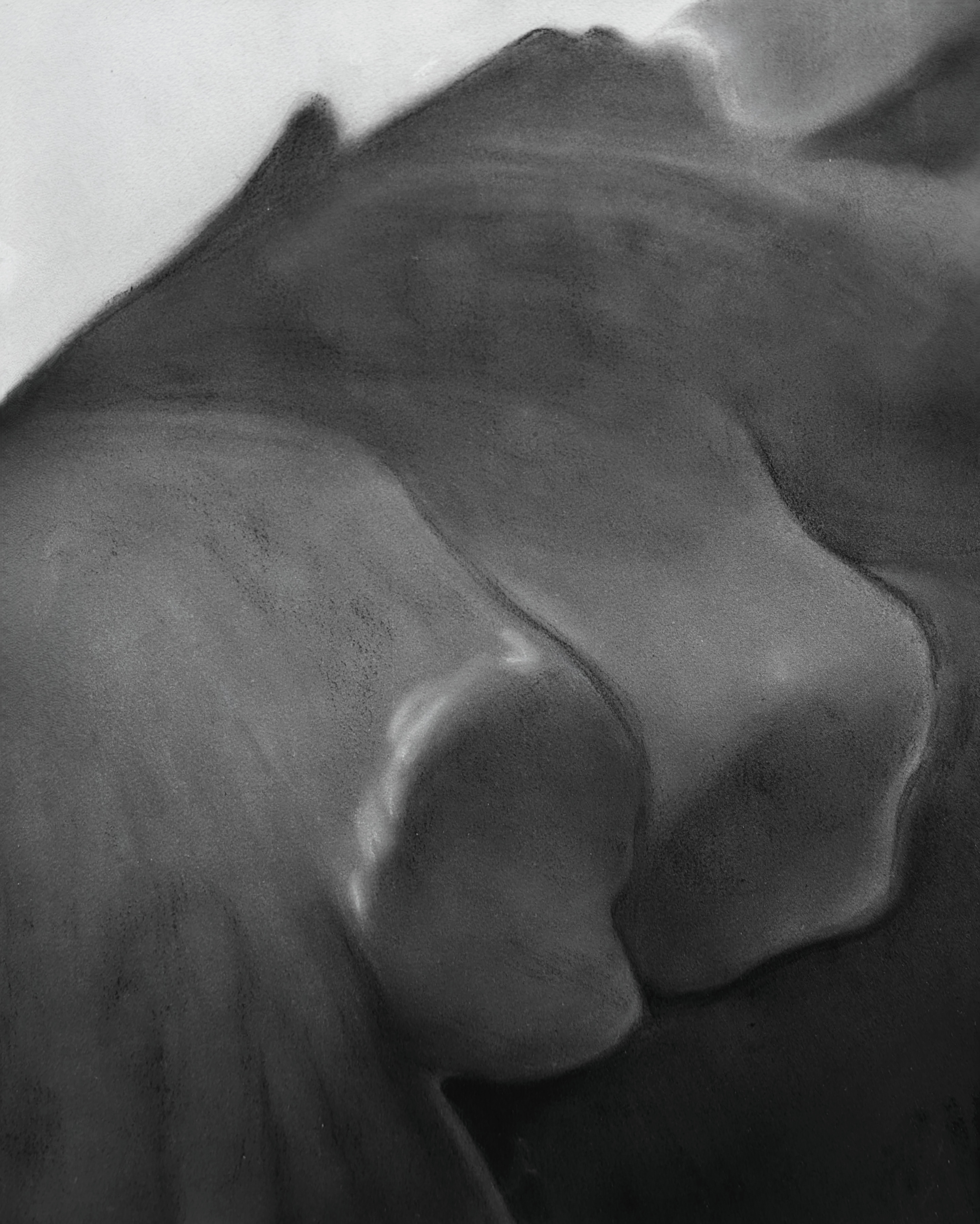 Anatomiczny dyptyk